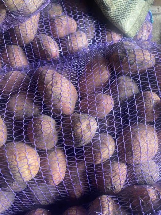 Продам картоплю оптом — 14 грн/кг