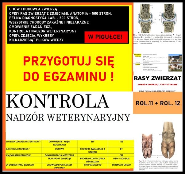 TECHNIK WETERYNARII - DIAGNOSTYKA laboratoryjna, notatki anatomia