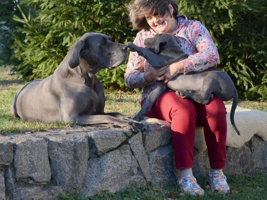 Племенные щенки из питомника. В родословной лучшие европ.производители