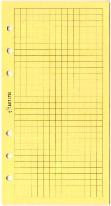 Wkład do organizera ST/kratka żółta. Antra