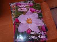 Owoce warzywa kwiaty dwutygodnik 8 2008 ogrodniczy gazeta czasopismo