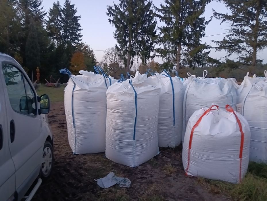 Kukurydza mielona ccm