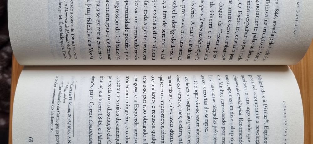 O príncipe duque de palmela