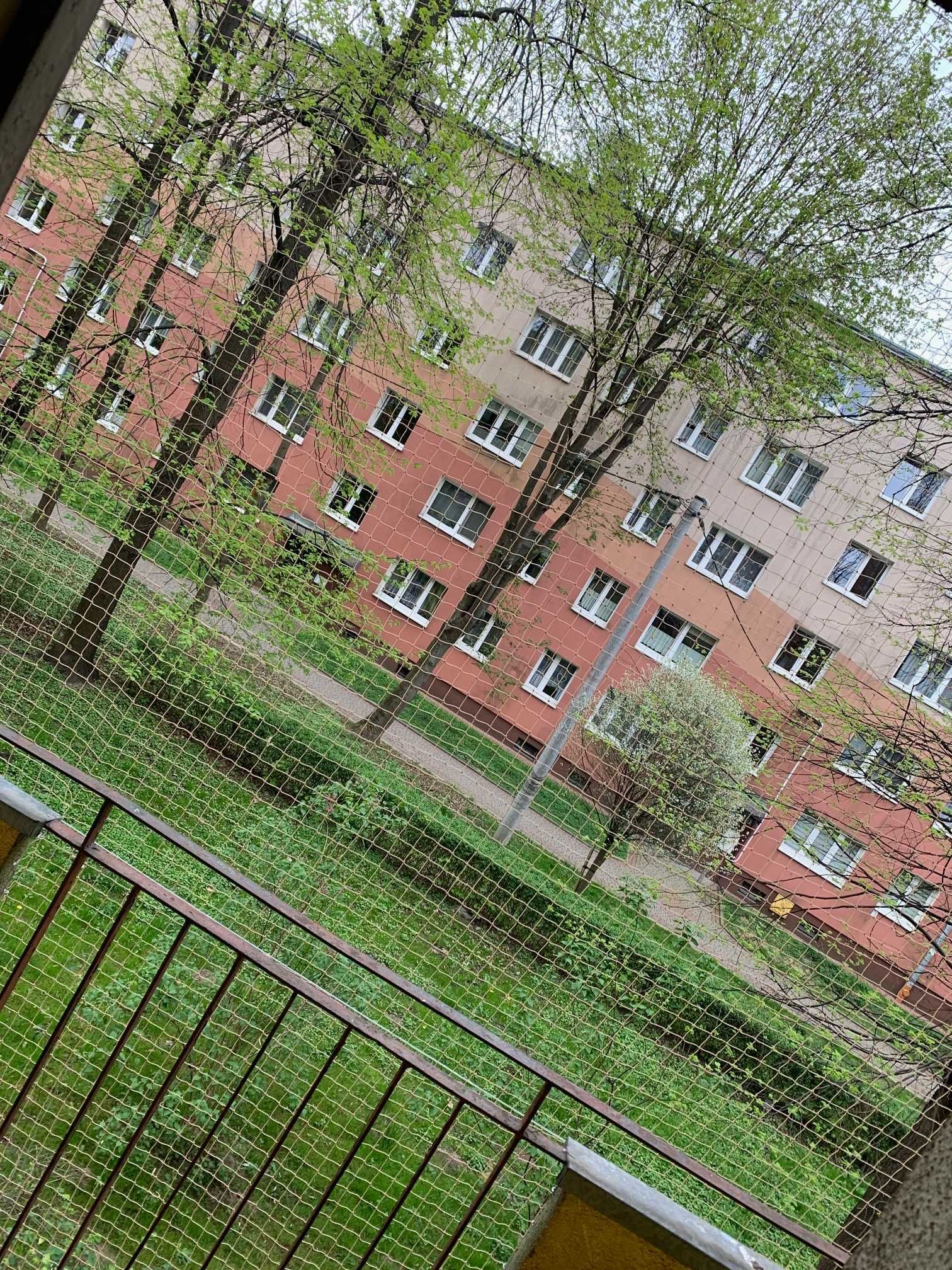 Siatki balkonowe - Gołębie precz! Pupil bezpieczny!