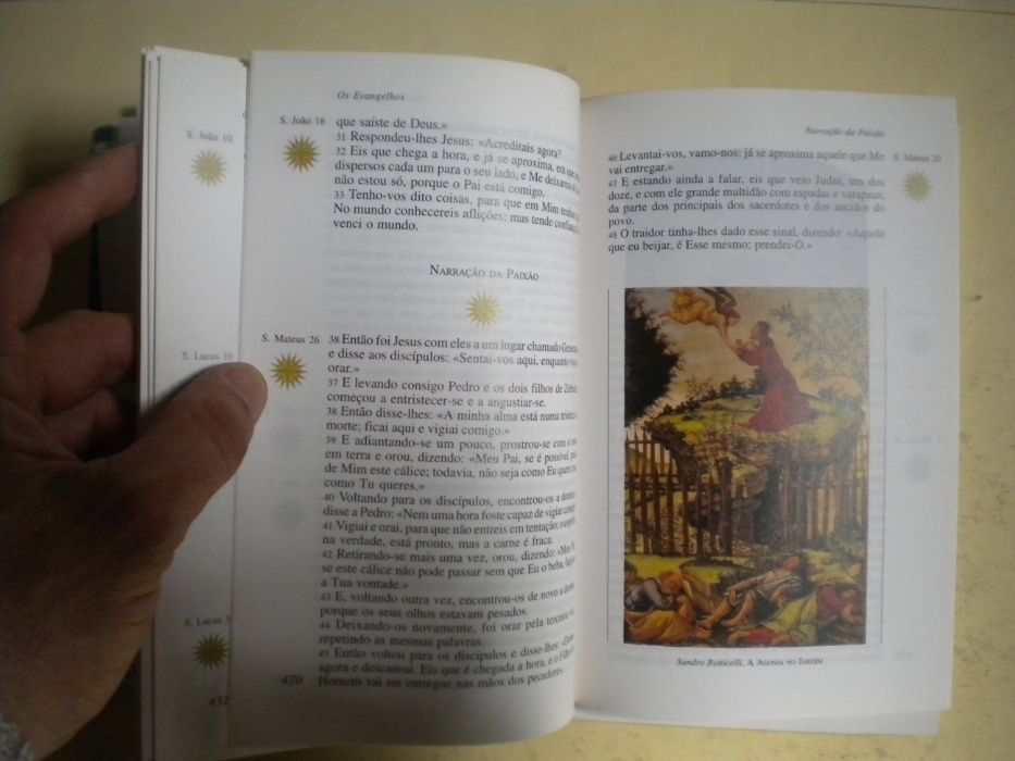Bíblia Sagrada - Selecção de Textos ilustrados