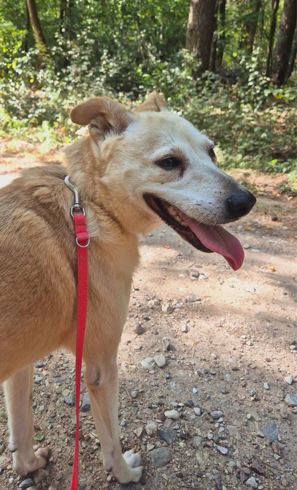Selena niczym gwiazda do adopcji, za darmo