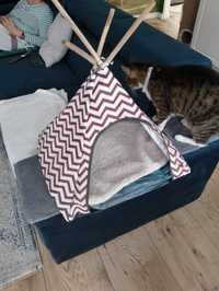 Namiot dla kotka