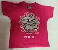 T-shirt koala r.92