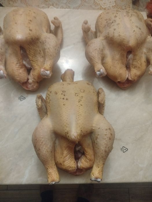 Продам тушку домашнього бройлера