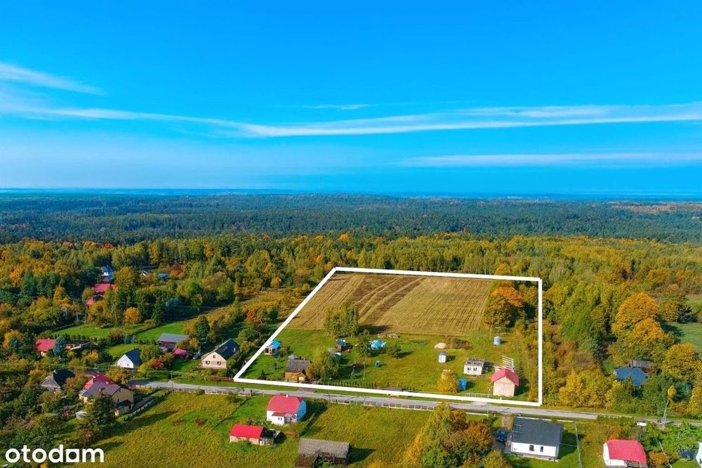 Siedlisko na szczycie Mazowsza – 3,8 ha z potencjałem rozwoju.
