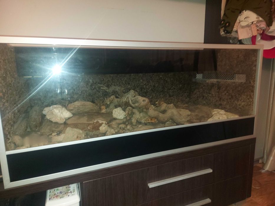 Piękne terrarium 120x 58 cm oswietlenie