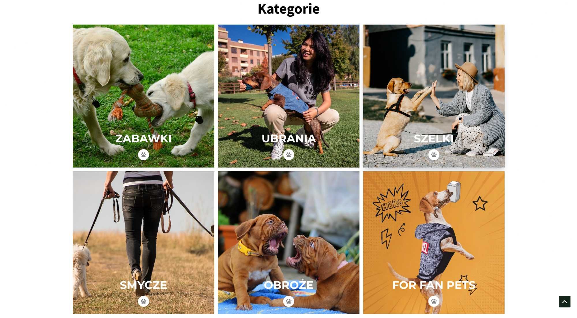 Sklep internetowy w modelu dropshipping z artykułami dla psów