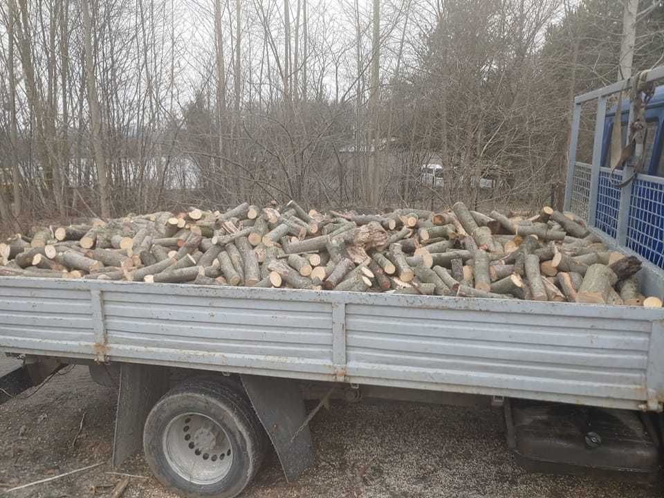Drewno   Opał   Buk   Cięte   Transport
