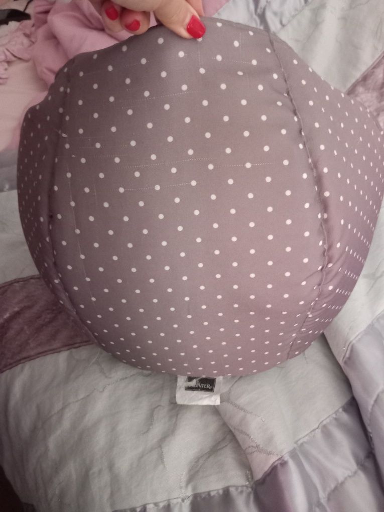 Conjunto para  gato