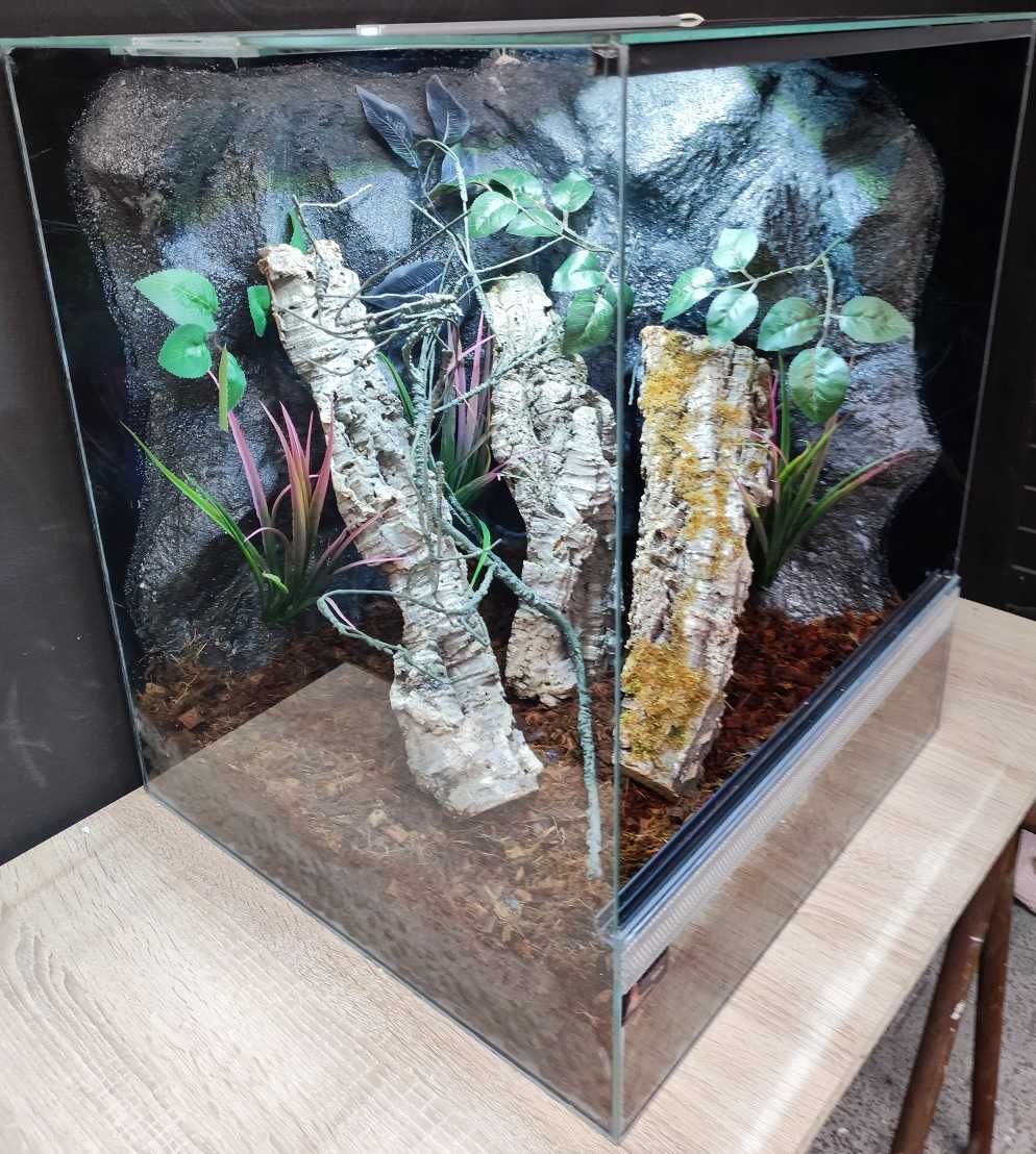 Terrarium dla gekona orzęsionego 50x50x60