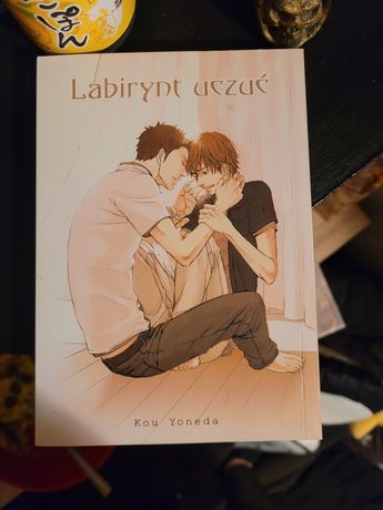 Labirynt uczuć Yaoi Shounen AI manga