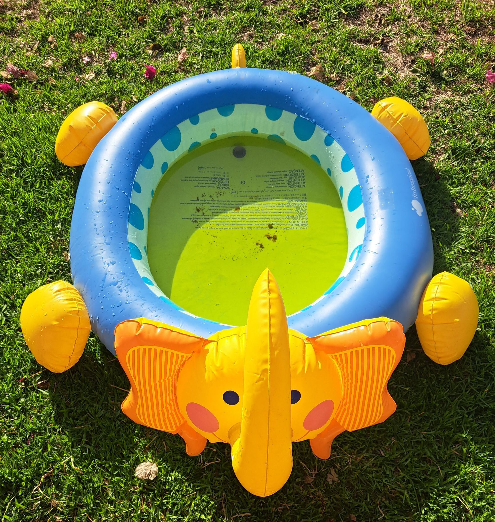 Piscina Elefante Bebé