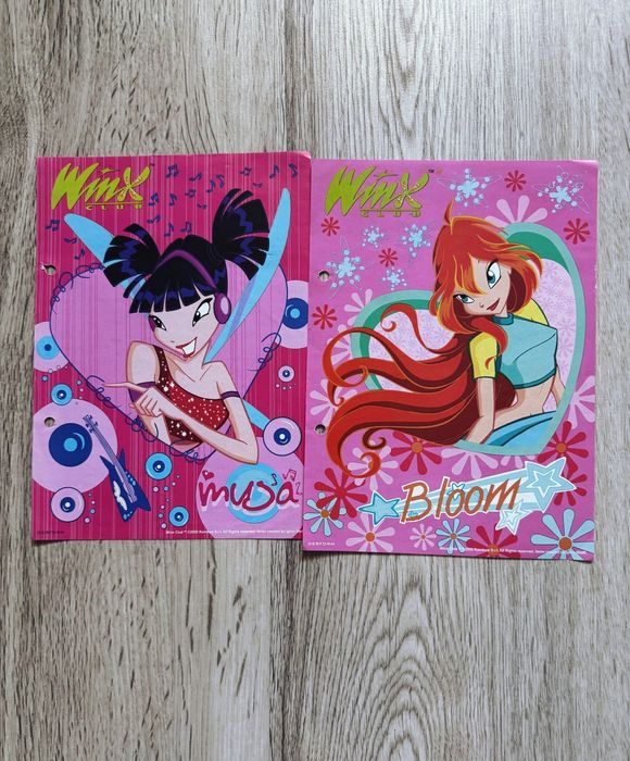 Zestaw karteczek Winx.