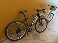 Rower OLPRAN mtb 29cali