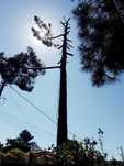 Corte em alturas