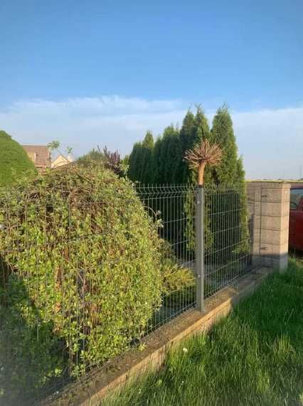 Ogrodzenie panelowe 3d 2d kompletne panel bramy furtki Transport tanio