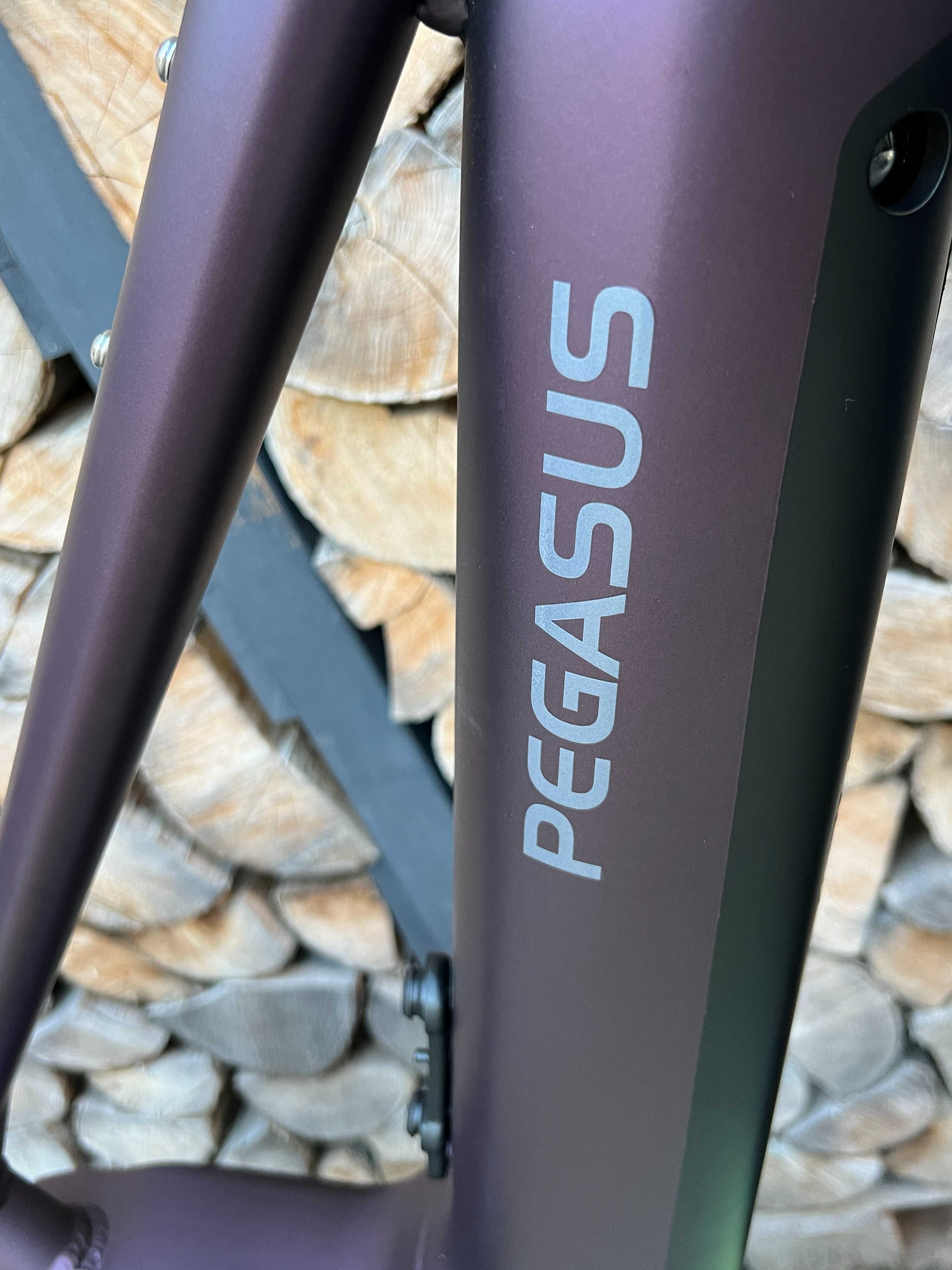 PEGASUS Premio 11 S 750Wh 85Nm Bosch CX 4 85Nm Smart Rower elektryczny