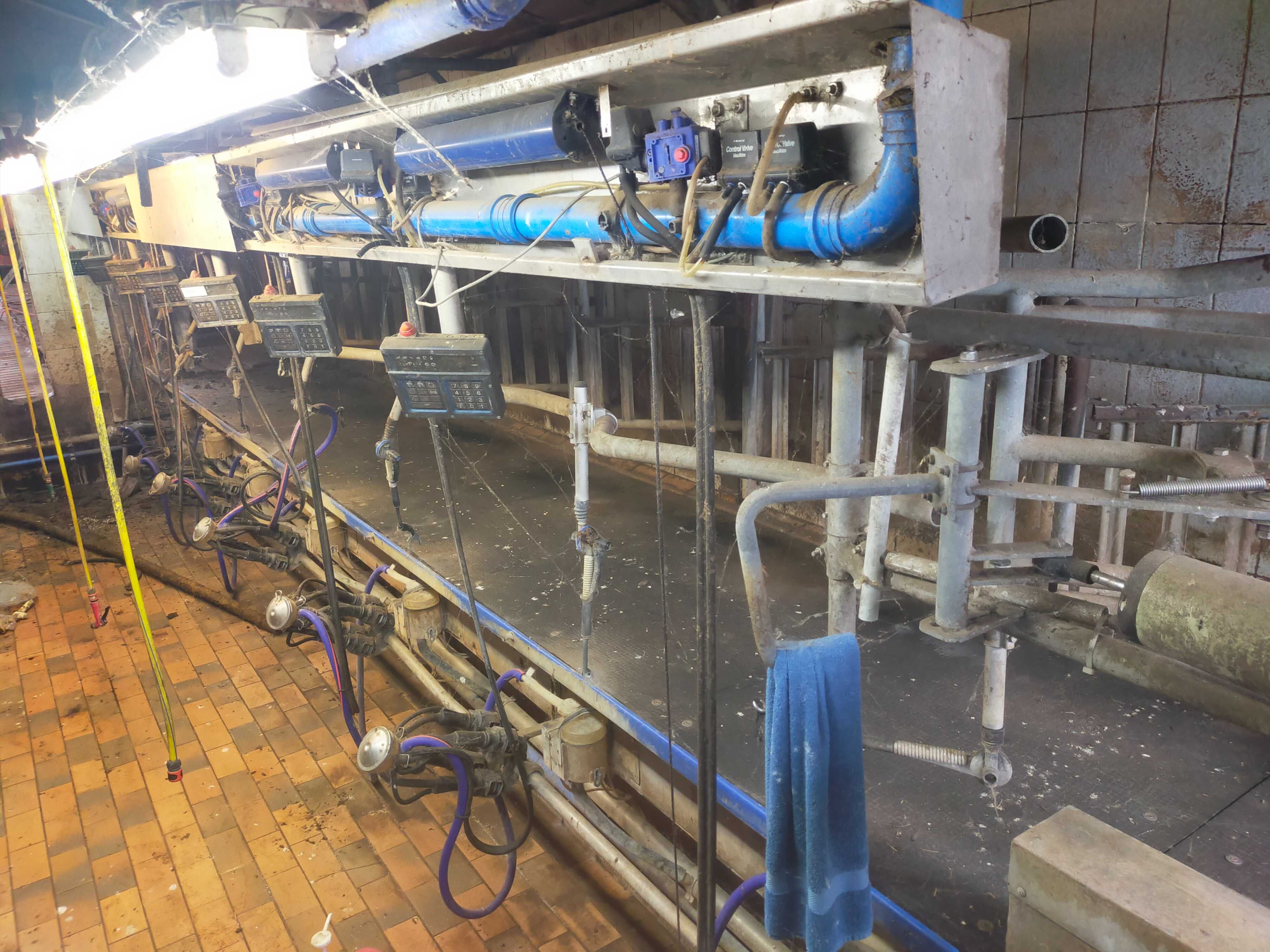 Hala udojowa Alfa Laval 2x7 z automatyką