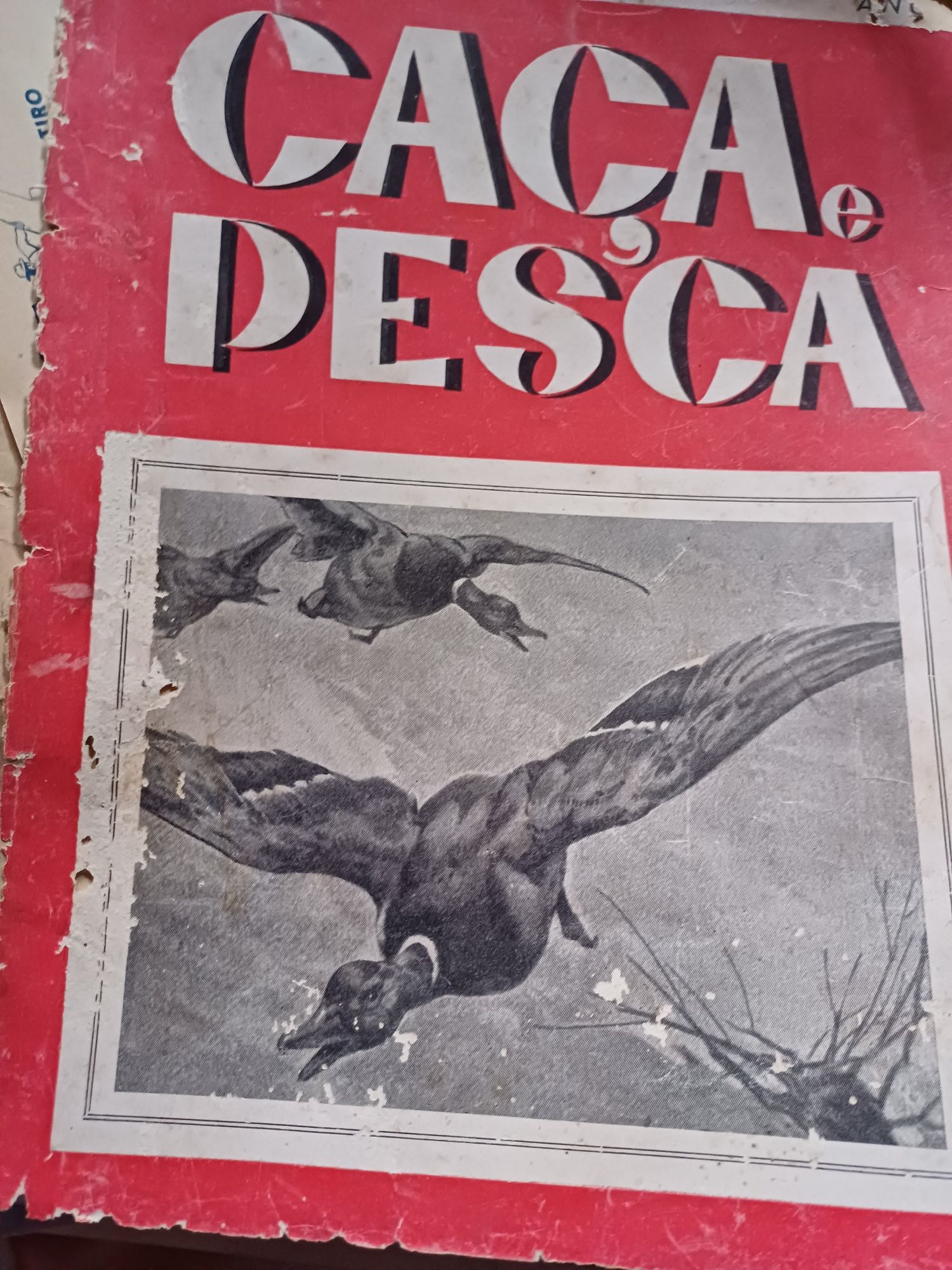Revistas antigas