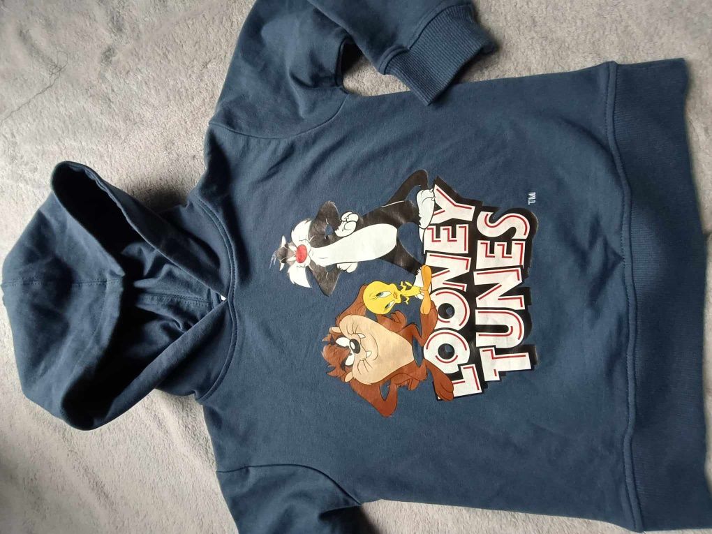 Bluza looney tunes 104