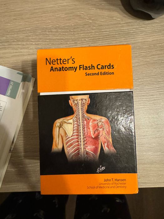 Karty anatomiczne Nettera – idealne do nauki anatomii