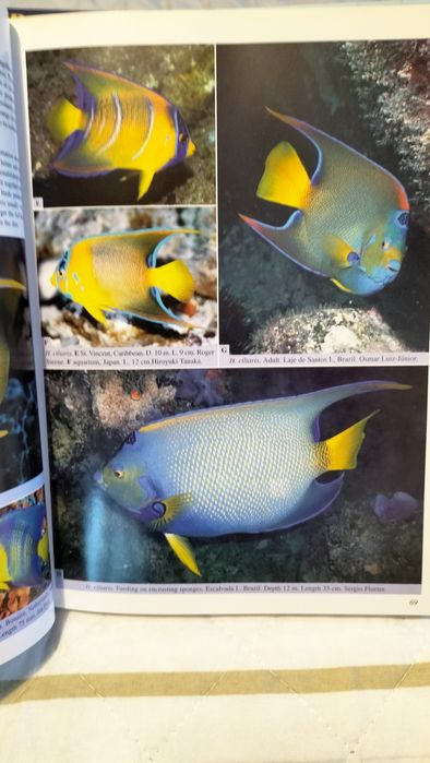 Livros aquariofilia marinha