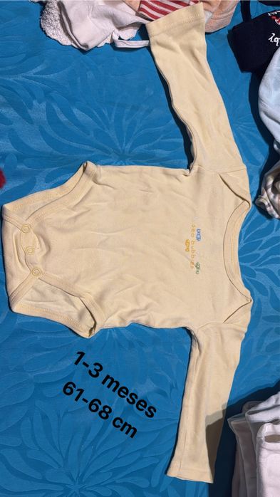 Vários bodies de bebé