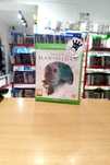 Man of Medan Xbox One