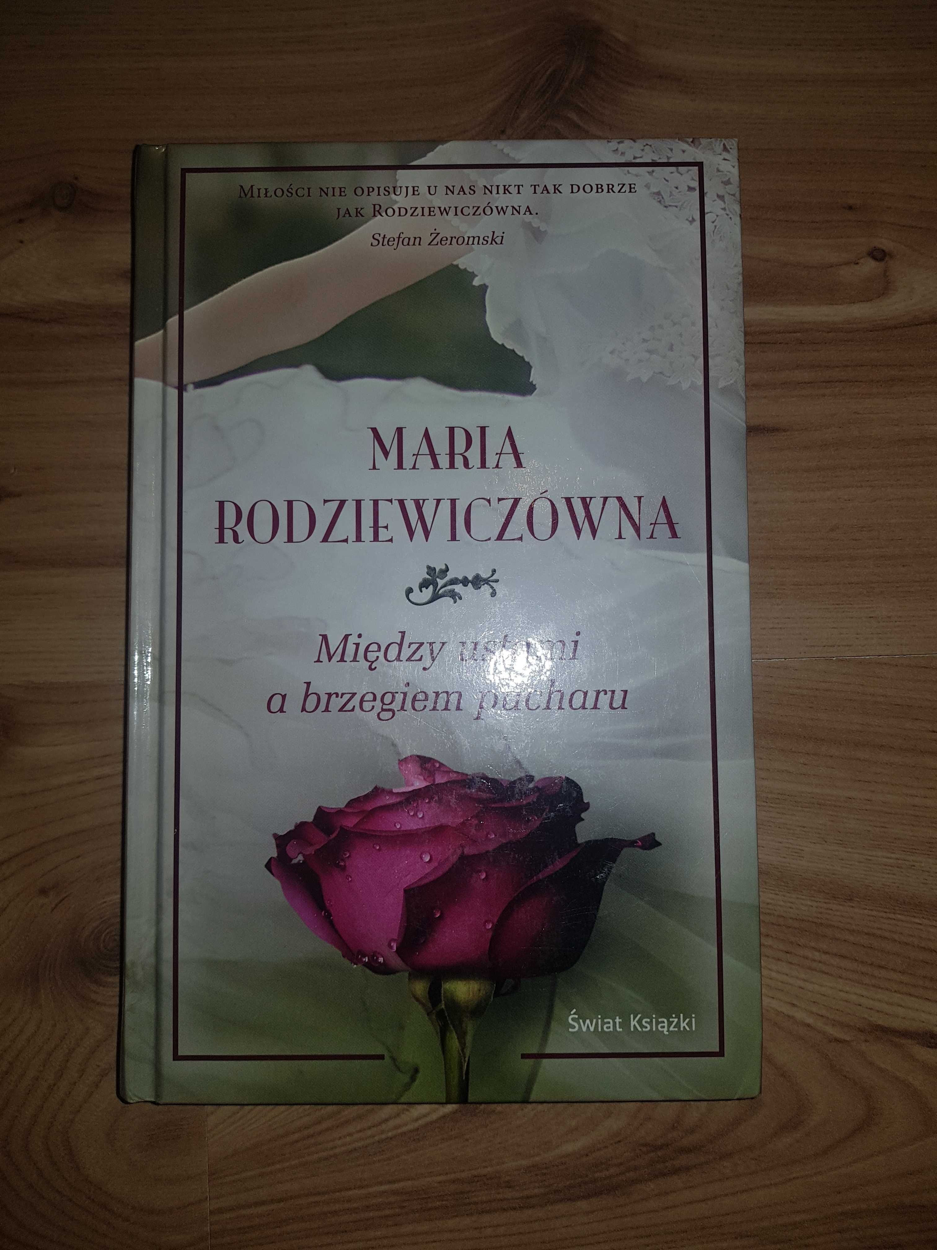 Między ustami a brzegiem pucharu Maria Rodziewiczówna