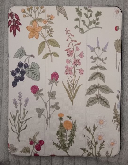 Ipad pro 9.7 128gb wifi + capa