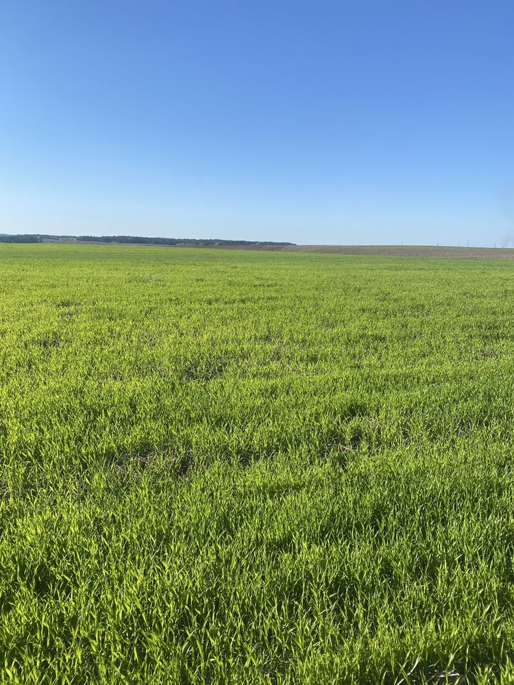 Продам фасадного пая біля рівного. Обарів