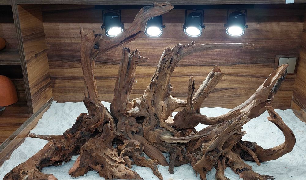 Korzeń do Akwarium, Dekoracja, Aranżacja Hardscape Do Twojego Akwarium