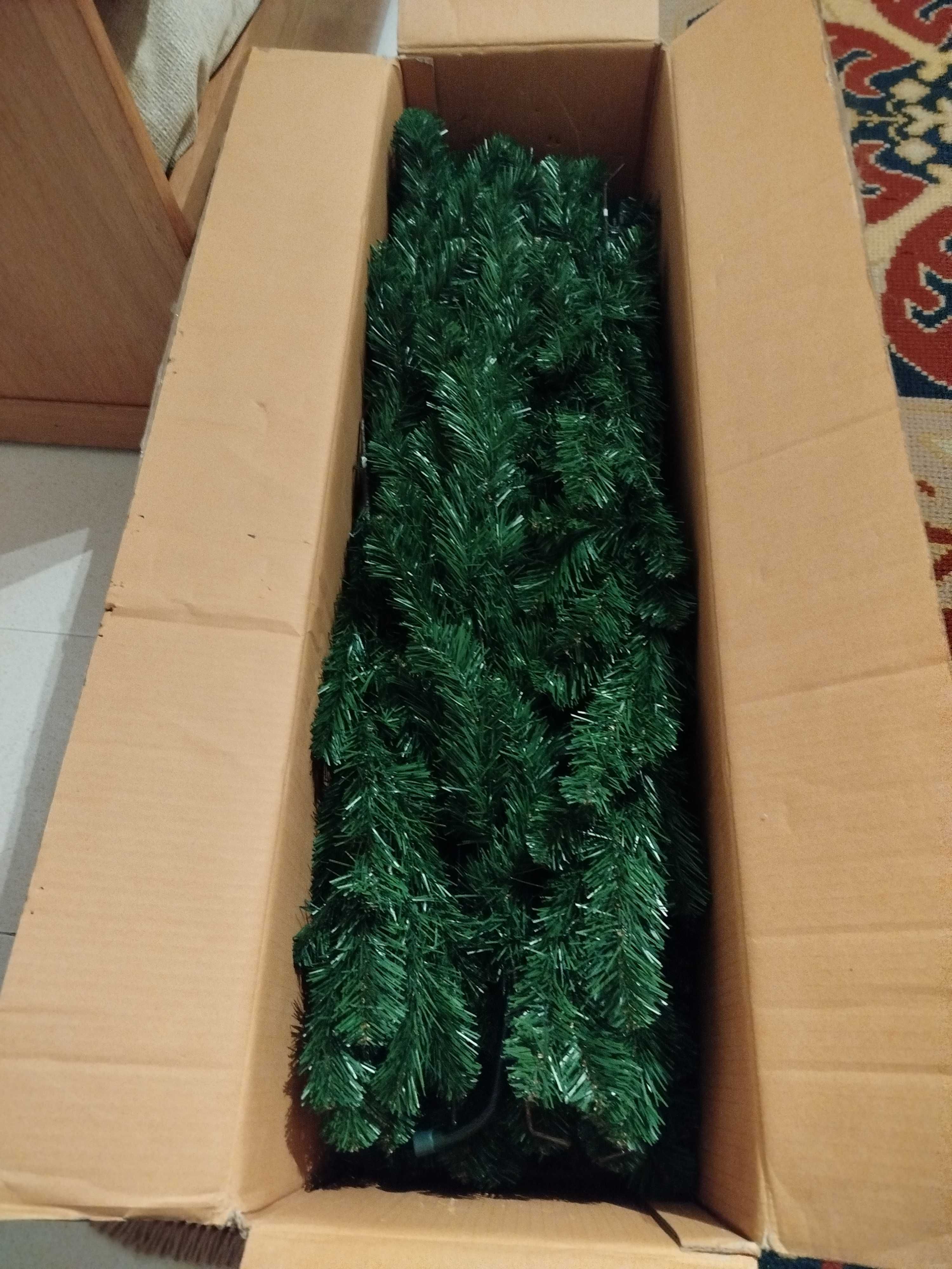 Pinheiro de Natal