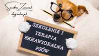 Szkolenia psów / konsultacje / trener / behawiorysta / zoopsycholog