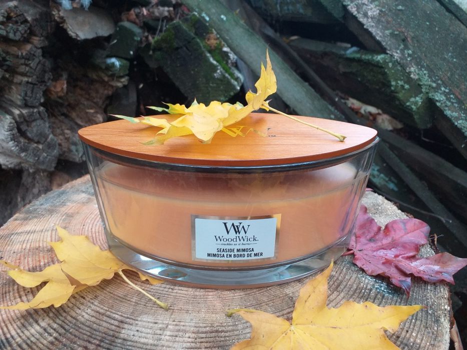 Ароматична свічка WoodWick 453,6 гр (Оригінальна)+ Подарунок