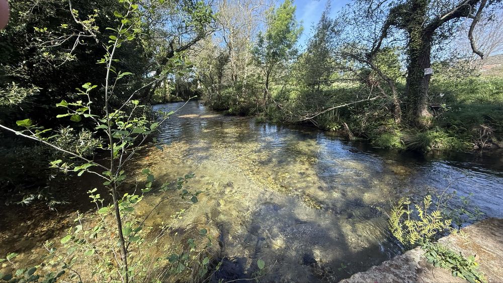 Terreno construção 7650m2 a 5 min da Praia de Ancora