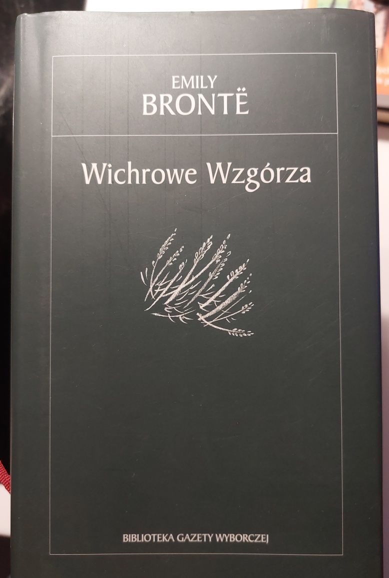 Bronte - Wichrowe wzgórza plus Rękopis znaleziony w Saragossie