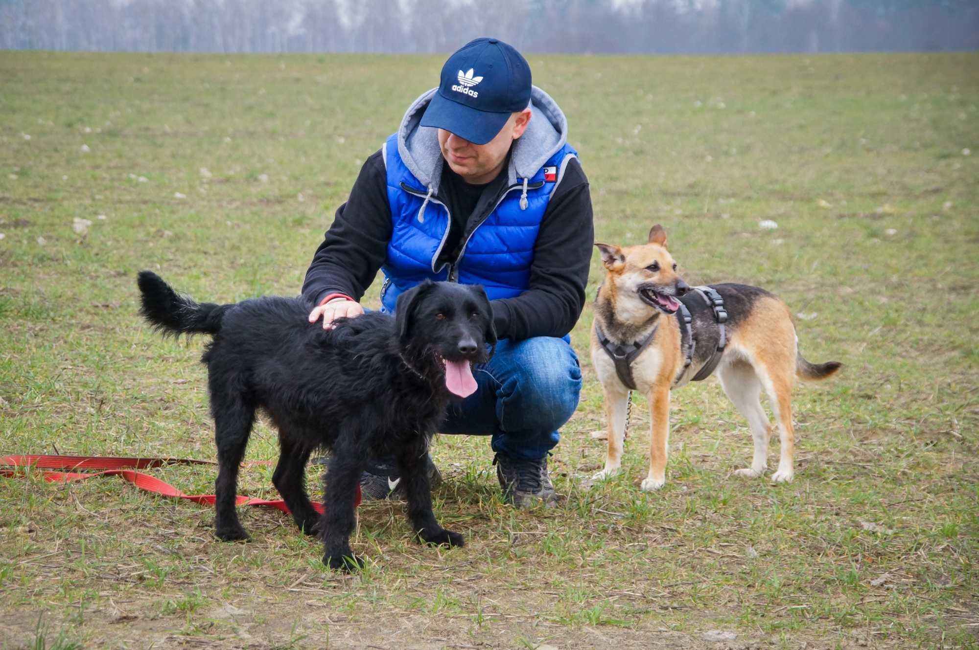 Tora - niewielka sunia, która straciła lata w schronisku...