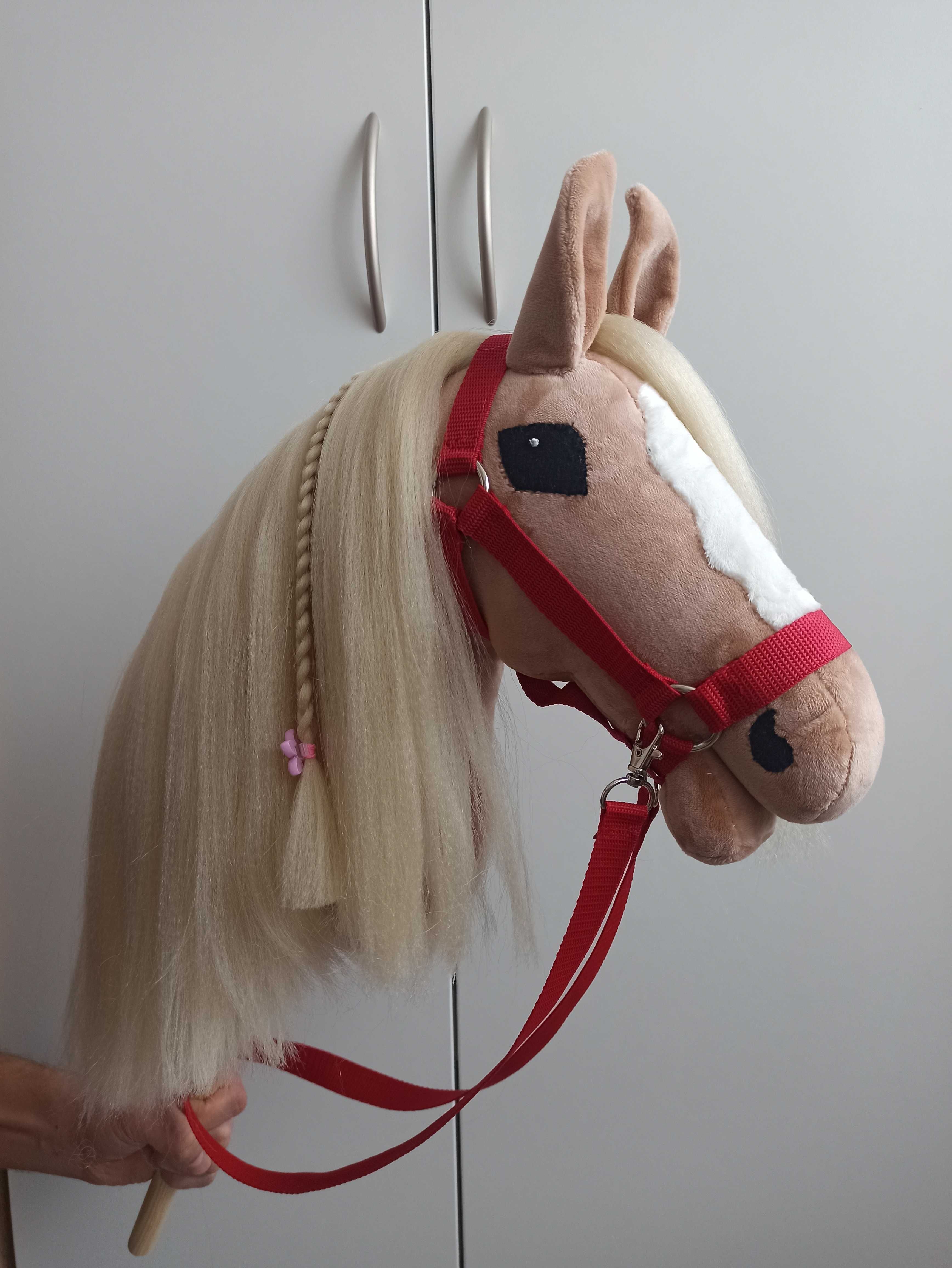 Hobby horse izabelowaty