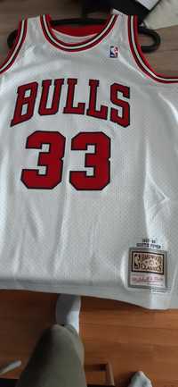 Hardwood classics Scottie Pippen jersey