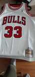 Hardwood classics Scottie Pippen jersey