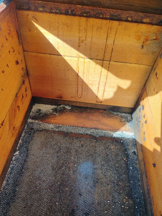 Вулики 10 рамочні