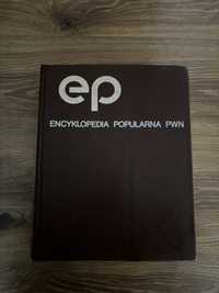 1982 encyklopedia PWN