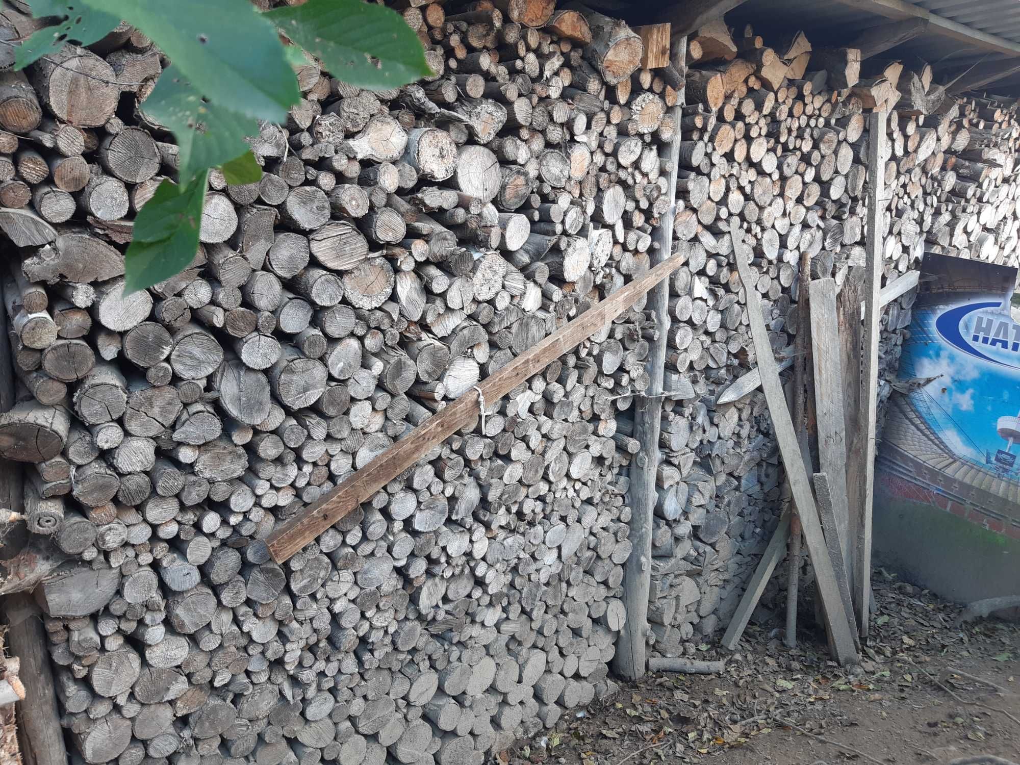 Suche pociete drewno opałowe rozne gatunki - cena za ułożone drewno !
