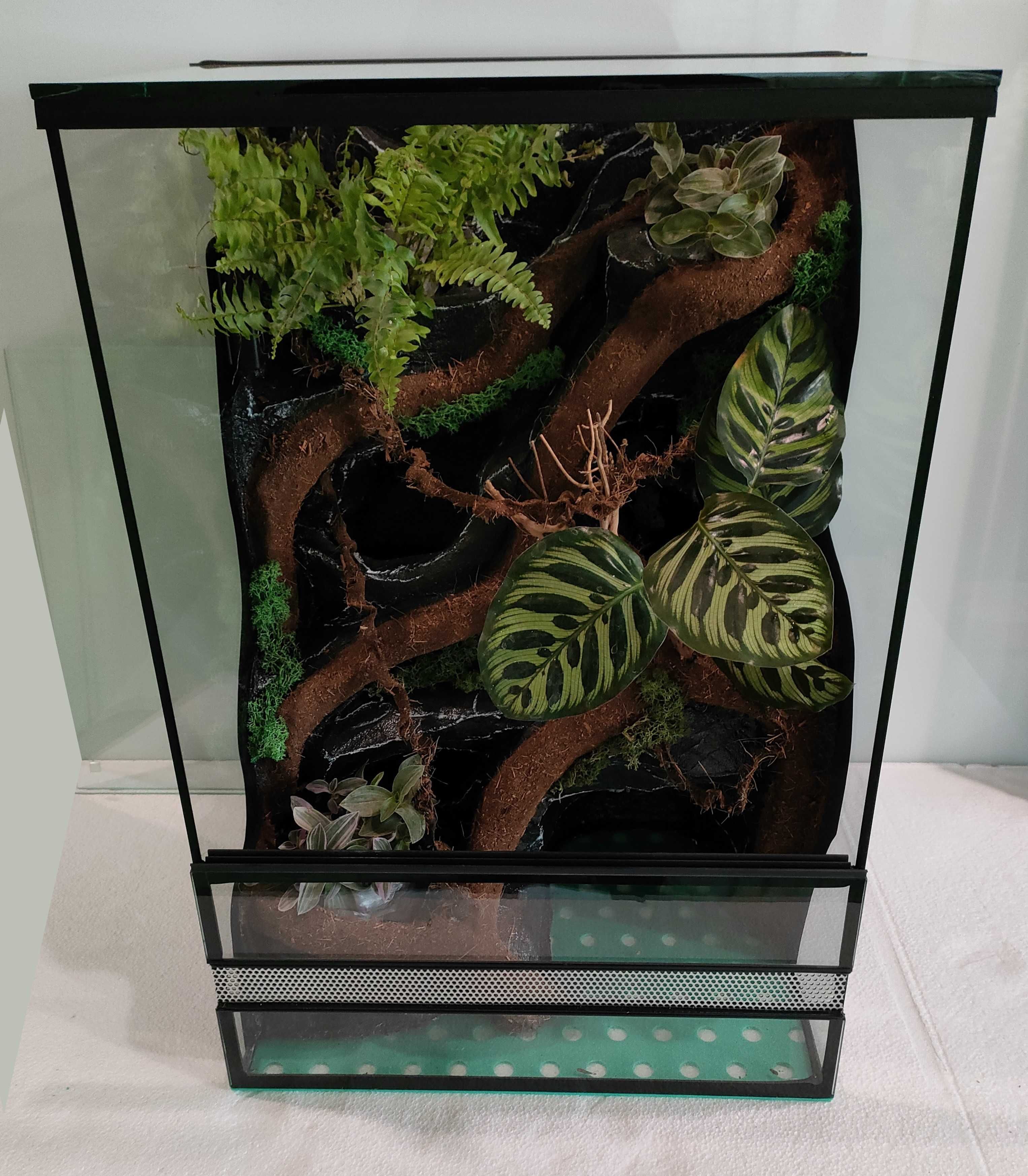 Terrarium z wodospadem dla gekona orzęsionego AquaWaves TW02WBP